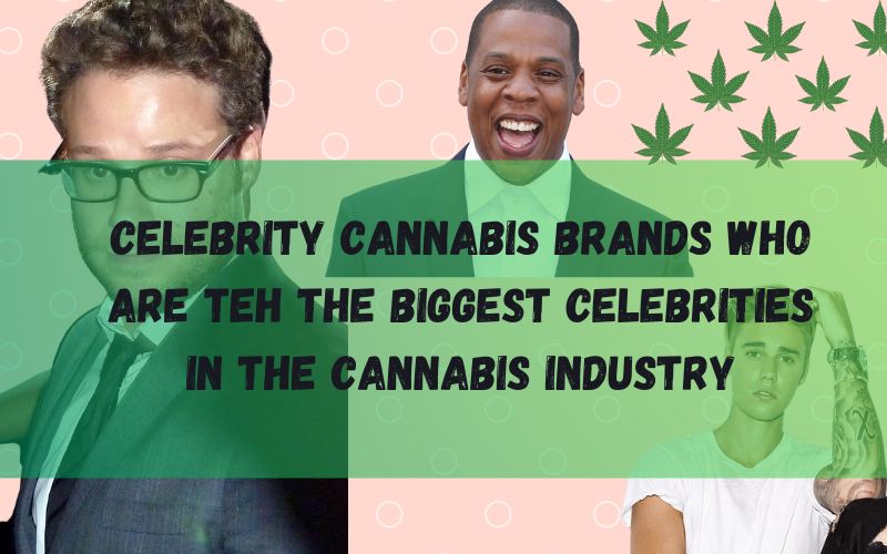 Celebrity Cannabis Brands Who are teh The Biggest Celebrities in the Cannabis Industry.png